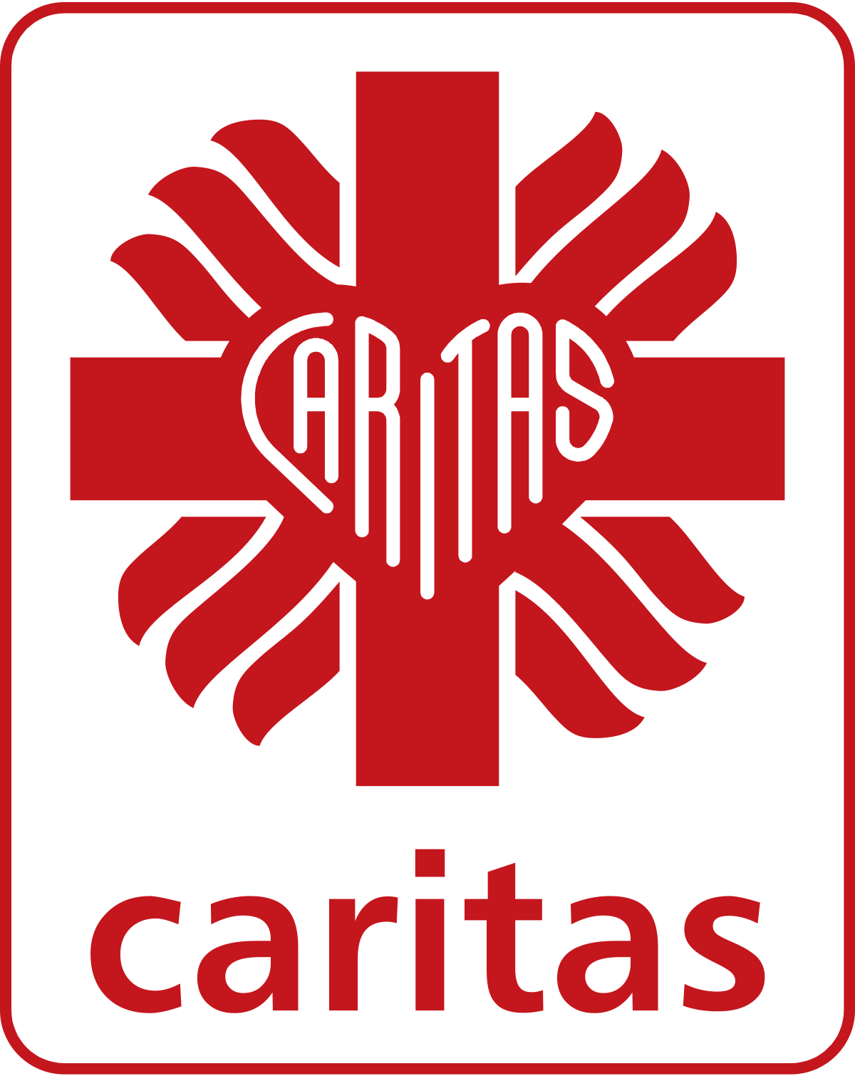 Witamy na nowej stronie internetowej Grudziądzkiego Centrum Caritas